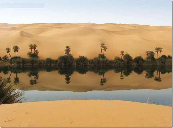 20 most incredible desert oasis4