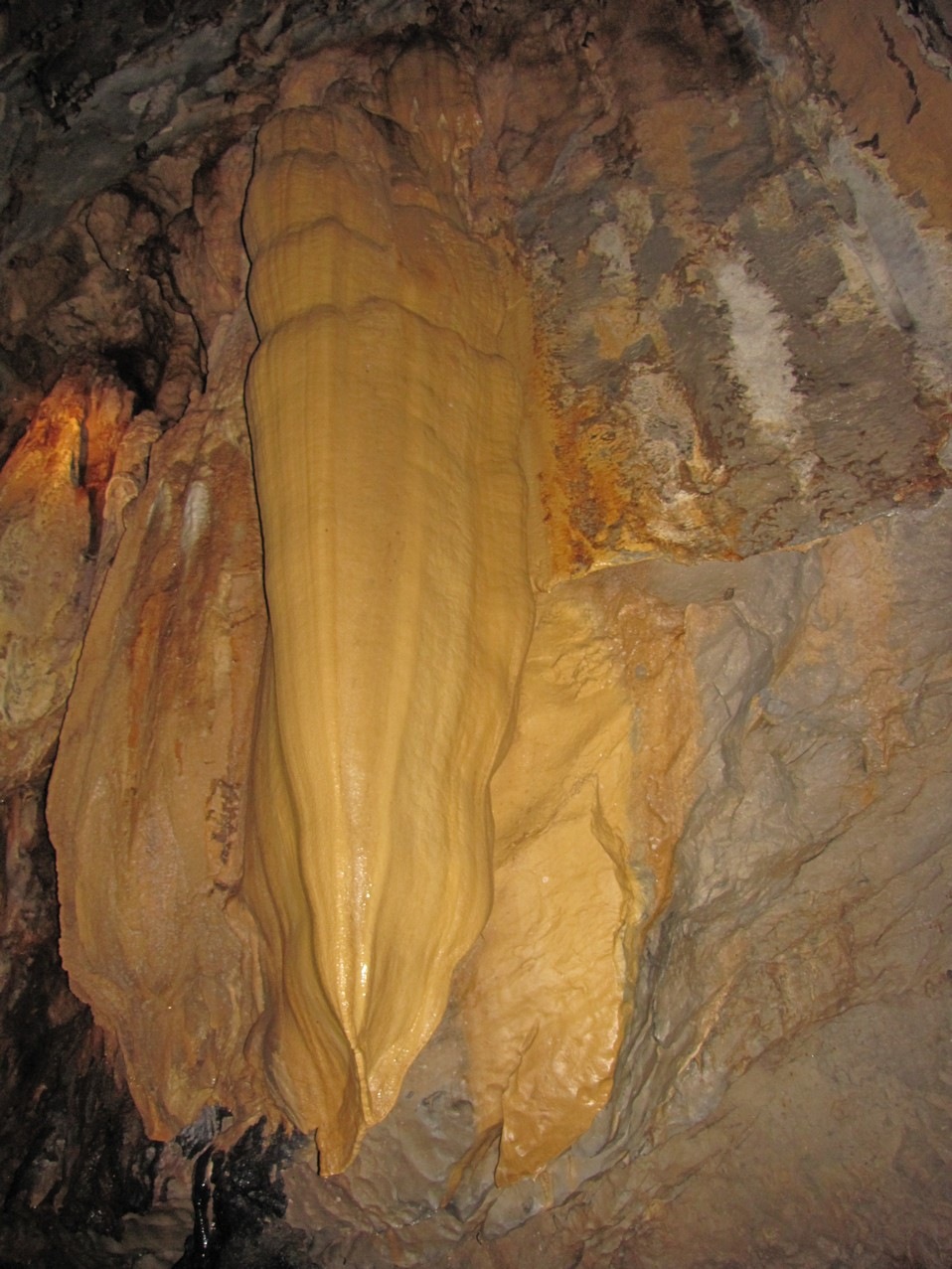[IMG_83634.jpg]