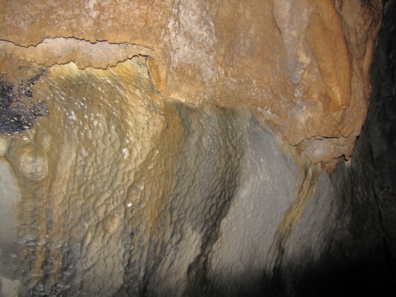 [IMG_83374.jpg]