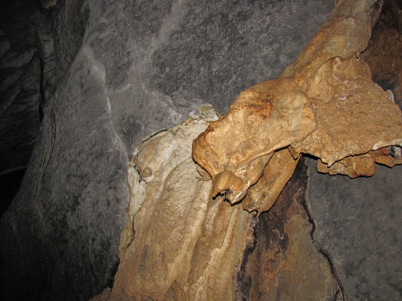 [IMG_83394.jpg]