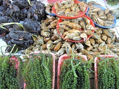 IMG_8536