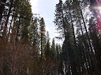 Eagle is there if you look REALLY close.