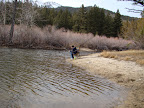 Kendra trying to catch more dinner