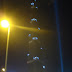 DSC03279.JPG