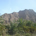 DSC03430.JPG