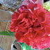 DSC03615.JPG