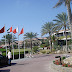 DSC03619.JPG