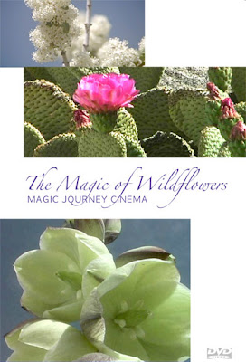 The Magic of Wildflowers Relaxation DVD Cover