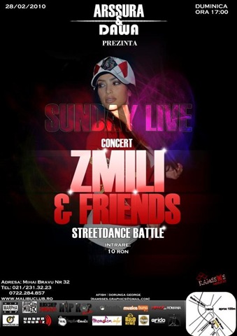 [concert zmili[4].jpg]