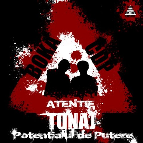 [TonajPotentialuldeputere8.jpg]
