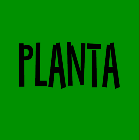 [Planta - Planta[3].png]