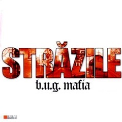 B.U.G. Mafia - Strazile