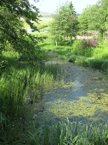 a pond in laggan
