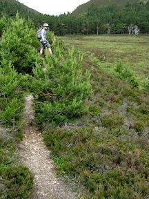 we had some technical single-track in the later part of the day.  in this picture, the track was just overgrown with summer brush.  in other parts, we had some exposed track with lots of big rocks that were bouncy and fun.