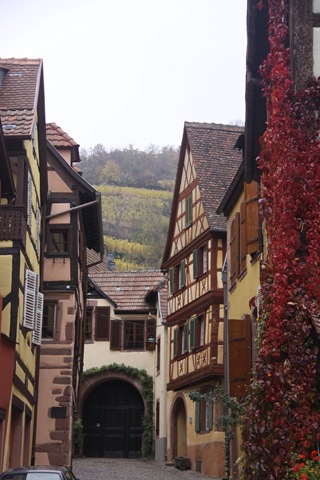 [Alsace Oct 09 (202)[3].jpg]