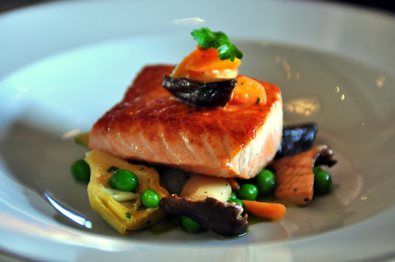 Salmon
