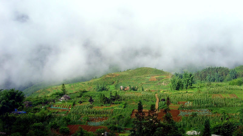 Sapa