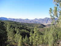 P8070017.JPG