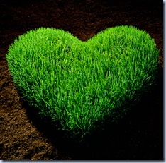 greenheart