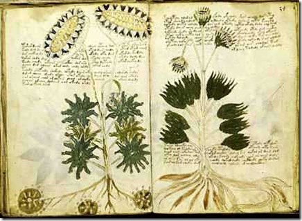 manuscrito-de-voynich