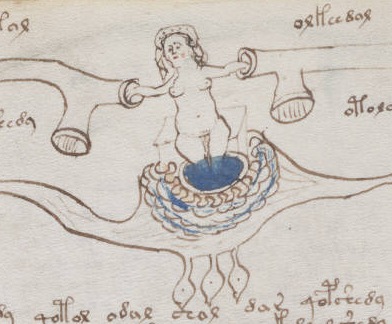 [Voynich_manuscript[3].jpg]