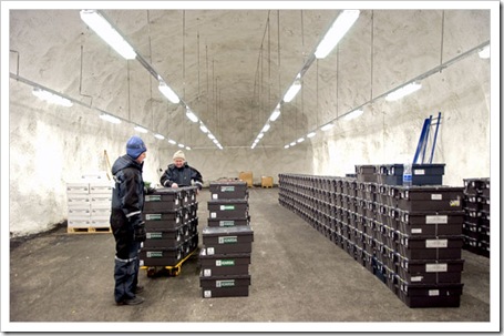 silo-global-de-sementes