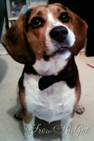 [1105092139a[8].jpg]