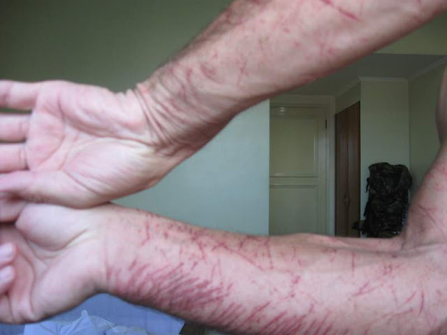 Вулканы Индонезии - фото (траффик!)