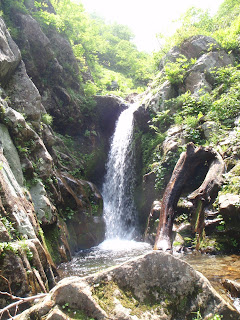 落ち口はハングし、垂直に落ちる滝。左岸を巻いて降りた。