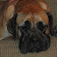 DSC00191.JPG
