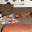DSC00202.JPG