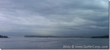 IMG00417-20101115-0804[1]