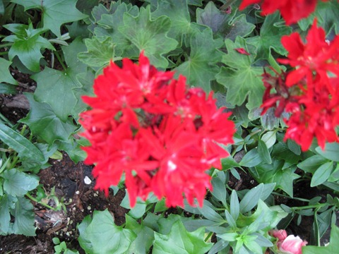 [IMG_03163.jpg]