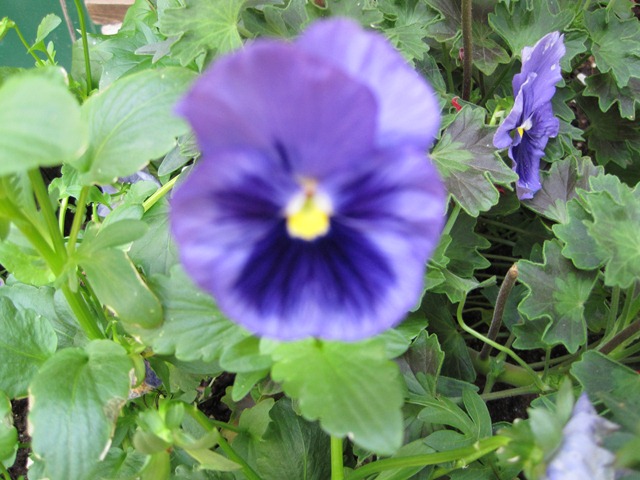 [IMG_03202.jpg]