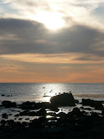 P1090017_2.JPG Photo
