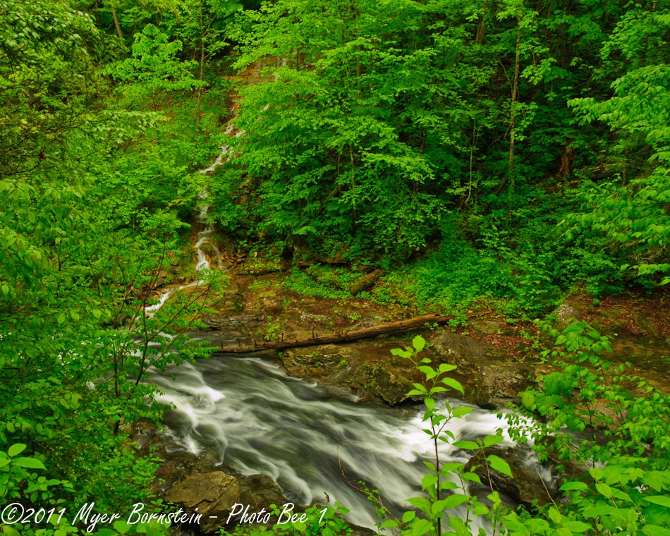 [Water running in gorge _ROT1542West Virginia  May 01, 2011 NIKON D3S[3].jpg]