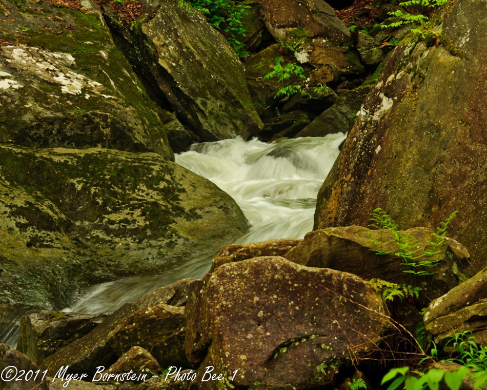 [Water running in gorge _ROT1550West Virginia  May 01, 2011 NIKON D3S[3].jpg]