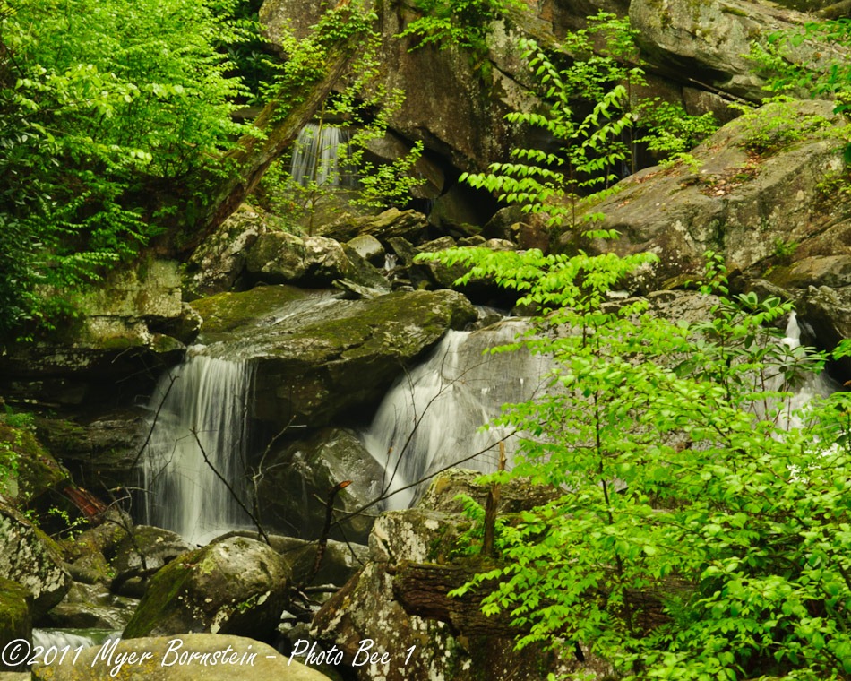 [Water running in gorge _ROT1553West Virginia  May 01, 2011 NIKON D3S[3].jpg]