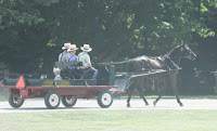 Arthur, Illinois- Amish country
