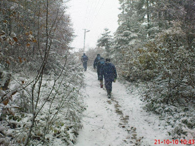 http://lh5.ggpht.com/_l70wUTiWbdA/TMNPK51eIbI/AAAAAAAABzE/Ilt0sfmmSRE/s400/DSC00142.jpg