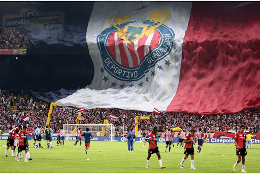amor a chivas espero todo
