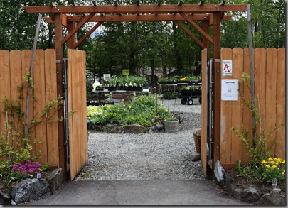 inthegardennursery 046 inthegardennursery 046
