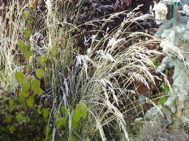 [2007 Nov-Dec 014[3].jpg]