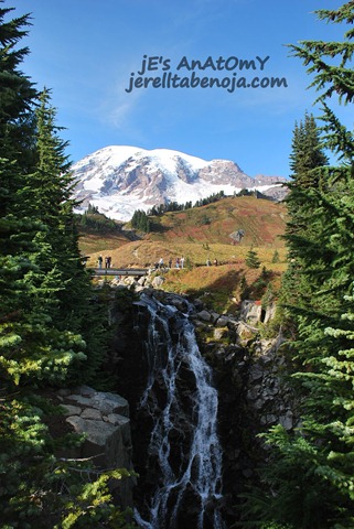 [DSC_0859[3].jpg]