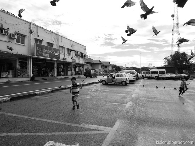 [birds3.jpg]