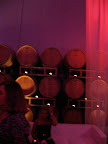 Party to celebrate Patz and Hall's new facility--they created a swanky lounge. Party to celebrate Patz and Hall's new facility--they created a swanky lounge.