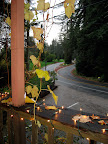 View from the porch of Beauregard. It's a gorgeous drive up to the tasting room. View from the porch of Beauregard. It's a gorgeous drive up to the tasting room.