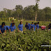 Vocational Training 