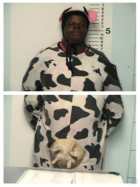 1264476760_costume_guys_arrested_03