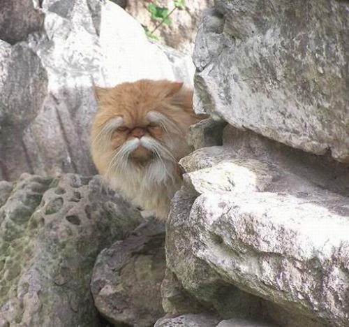 1267416079_acid_picdump_121 1267416079_acid_picdump_121
